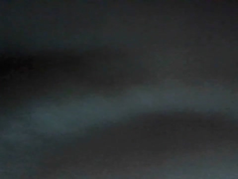Wildboy2077x  02-06-2022